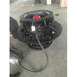 潛水全貫流閘門泵