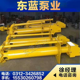 型雙吸泵,zjl液下渣漿泵,臥式渣漿泵 安國市東藍(lán)水泵廠